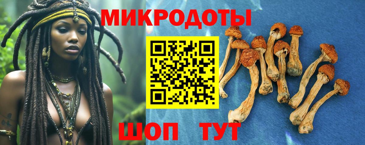 Галлюциногенные грибы GOLDEN TEACHER Миасс