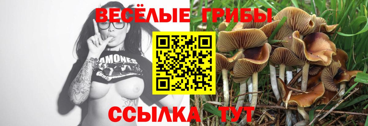Миасс  Псилоцибиновые грибы Magic Shrooms  купить наркоту  Вход с VPN 